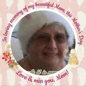 Meet your Posher, Dorothy